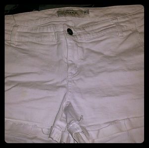 Torrid Shorts